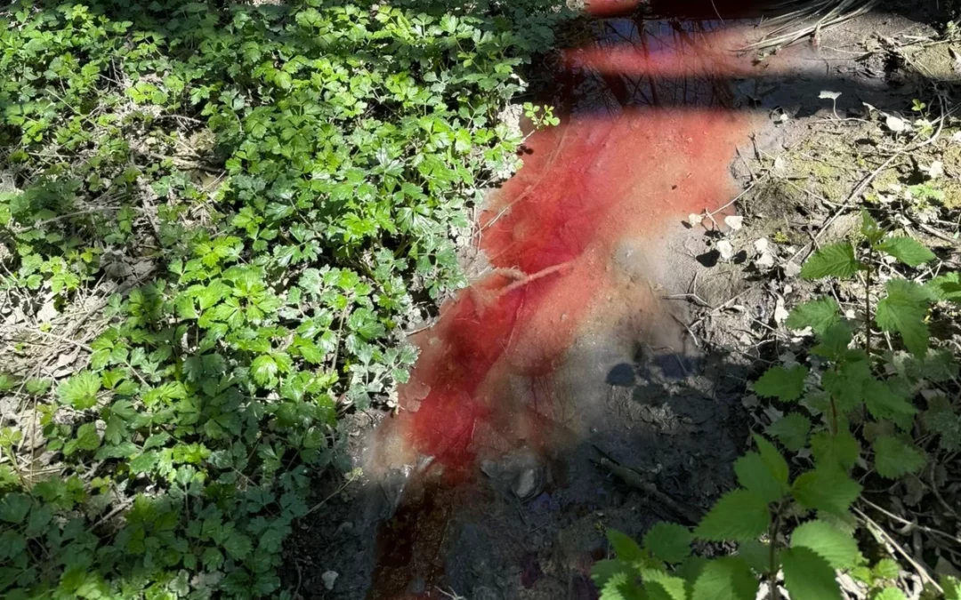 Zadorra Bizirik denuncia un vertido contaminante en el río Alegría