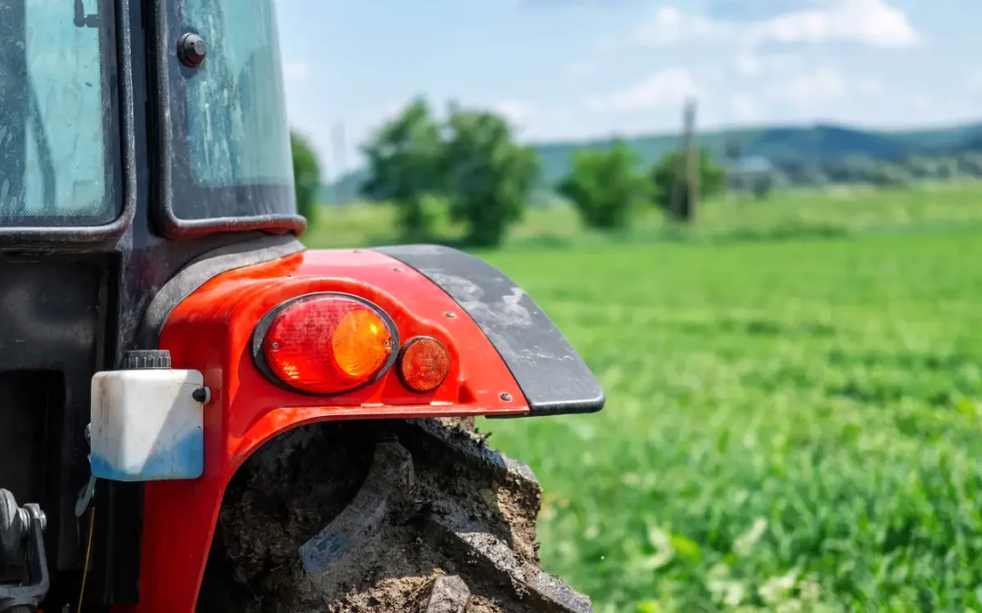 Euskadi moviliza cerca de 140 millones en ayudas para reforzar el sector agroalimentario, forestal y pesquero