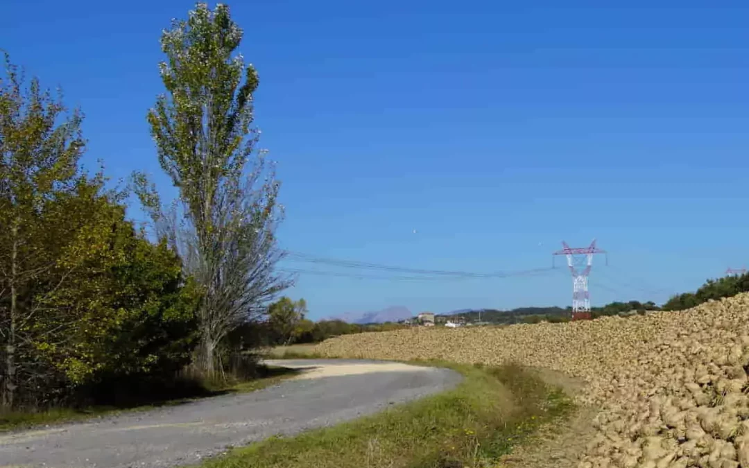 La Diputación destina 620.000 euros a reparar caminos rurales y apoyar inversiones agrarias
