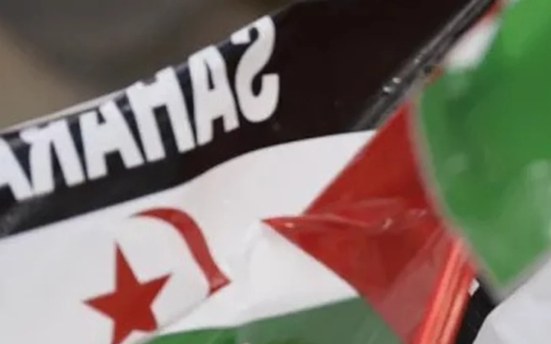 Araba reivindica la autodeterminación del Sáhara en el 50º aniversario de la RASD