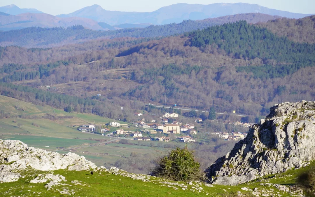 Zuia retrasa este año la limpieza y siega de sus pueblos por las intensas lluvias de la primavera