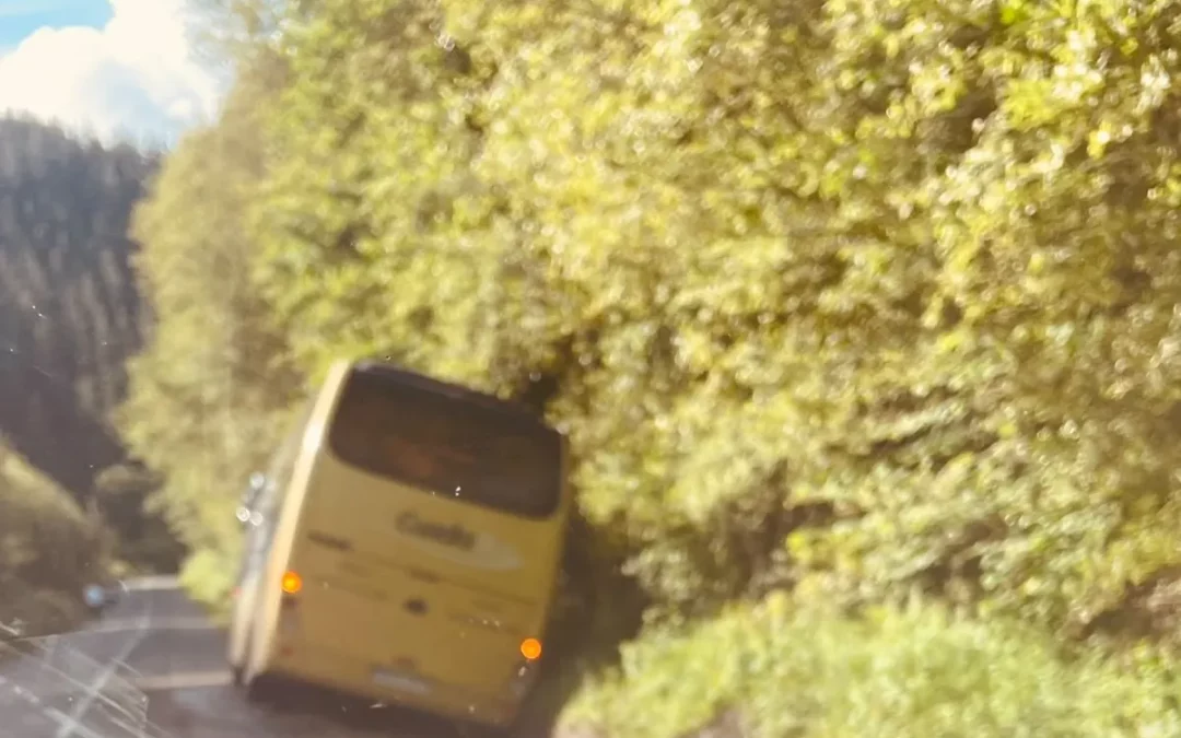 Okondo reclama actuaciones urgentes en la A-3641 tras el accidente de un autobús escolar