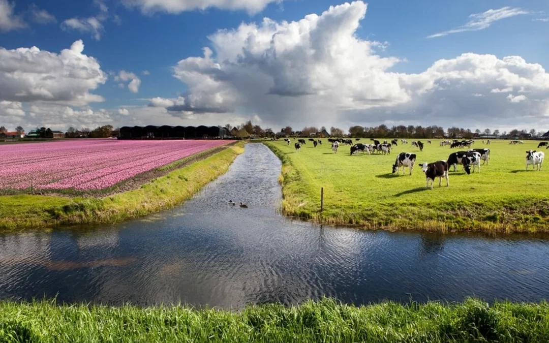 Una veintena de agricultores alaveses viajará al Benelux para conocer modelos agrícolas innovadores