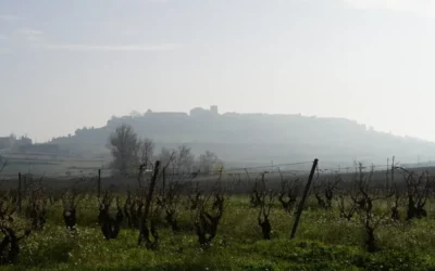 EDA y Neiker presentan en Laguardia su alianza para liderar la innovación vitivinícola