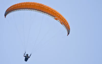 Ekologistak Martxan alerta de vuelos de parapente cerca de nidos de alimoche en Gorbeia y Entzia