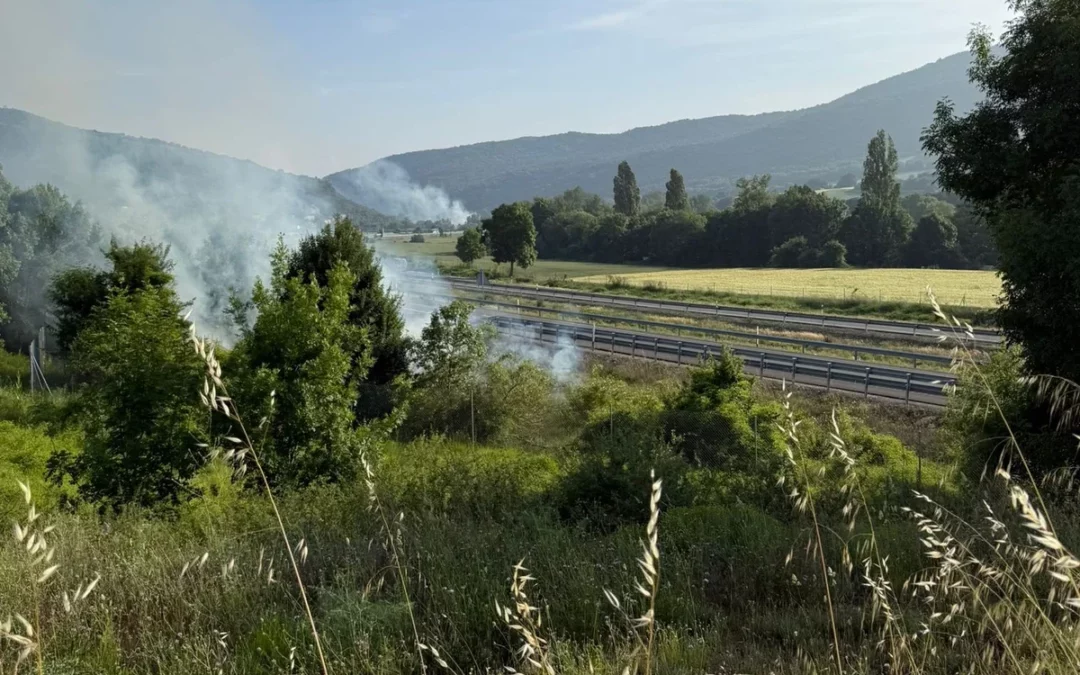 Araba entra en la Fase de Emergencia del Plan para Incendios Forestales