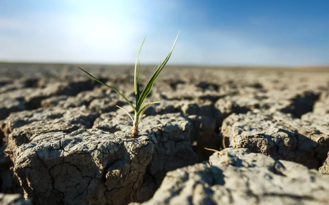 EH Bildu propone ayudas en Álava para que concejos y ayuntamientos se adapten al cambio climático