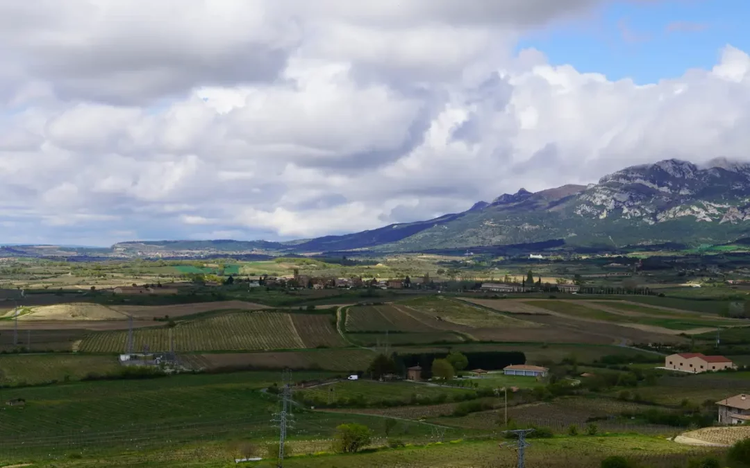 Rioja Alavesa vuelve a poner a prueba el conocimiento sobre sus pueblos con la quinta edición del QUIZ comarcal