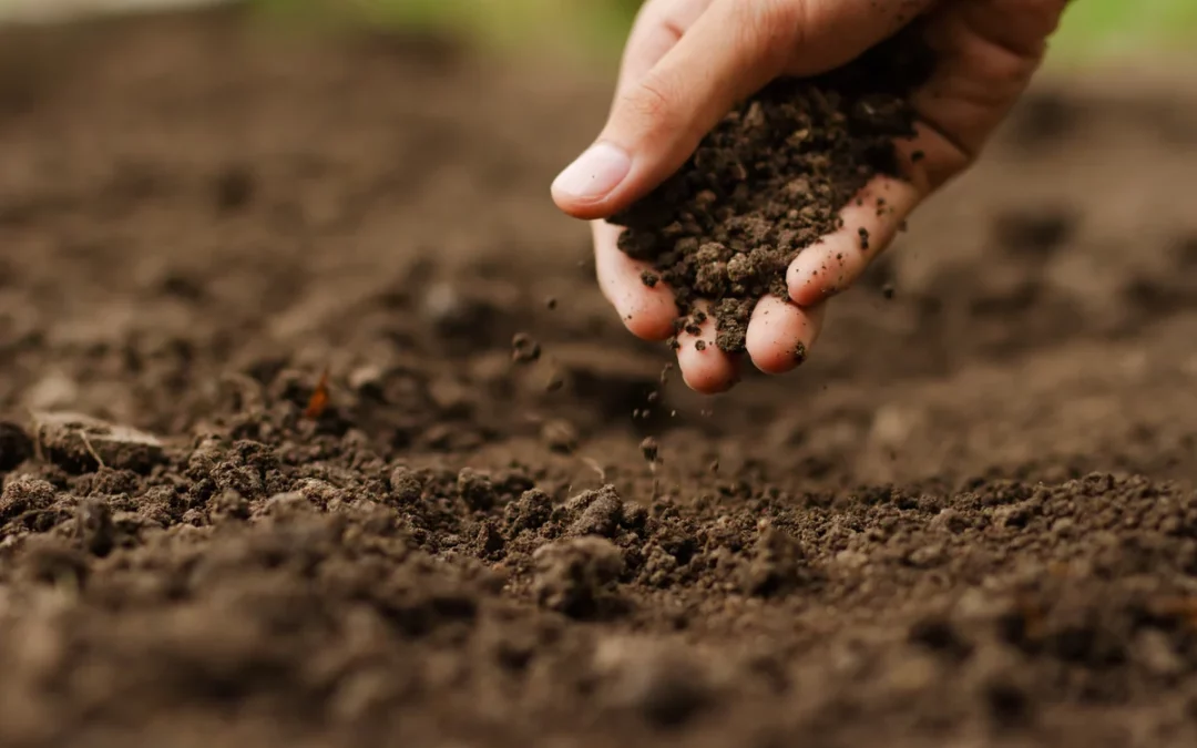 Los suelos agrícolas de Euskadi presentan una alta riqueza microbiana y niveles de contaminantes por debajo del riesgo
