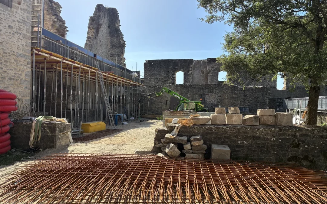 La Torre-Palacio de los Guevara avanza hacia su transformación en un nuevo centro turístico y cultural de Álava