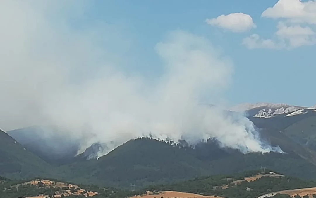 Los guardas forestales de Araba reivindican su trabajo en la extinción del incendio de Galarreta