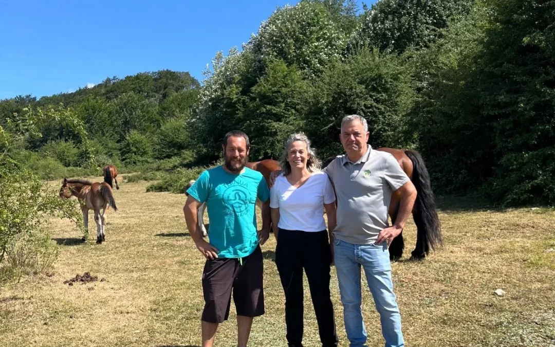 La Diputación impulsa en Sabando un proyecto piloto para certificar pastos comunales ecológicos
