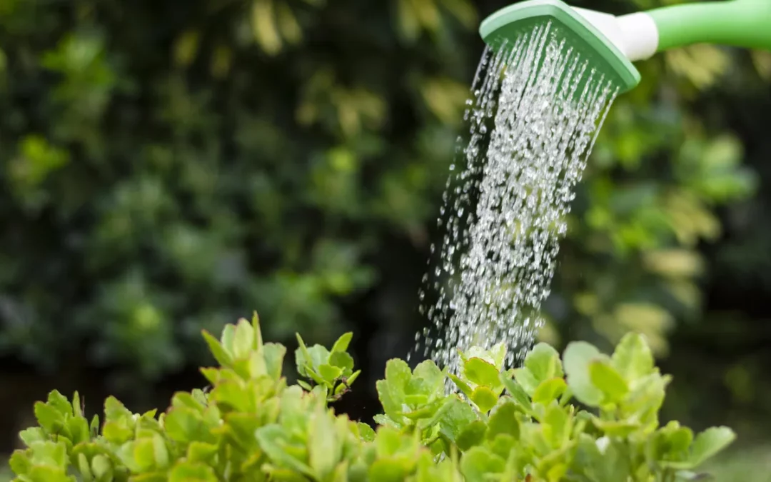 Zuia prohíbe regar, llenar piscinas y baldear ante el elevado consumo de agua y varias incidencias técnicas