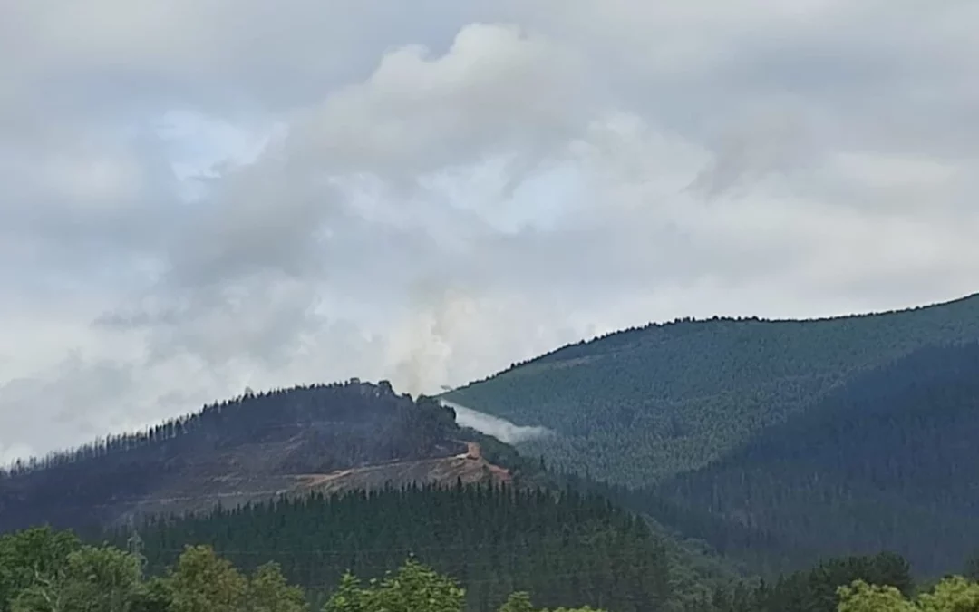 Prohibido acercarse al monte de Llanteno: el incendio mejora, pero continúan los trabajos de vigilancia