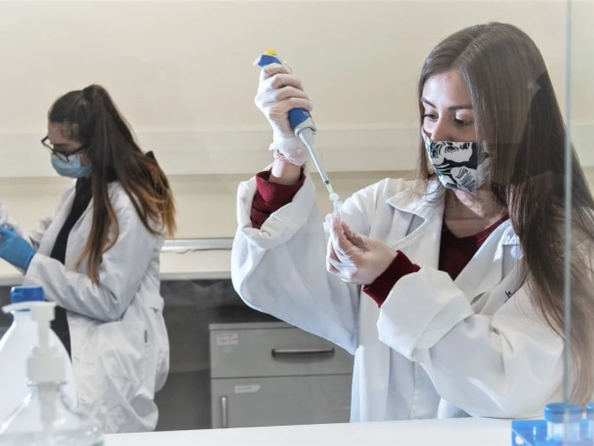 Becas Egibide y Fundación Vital 2026 Becas de Fundación Vital para titulados de Formación Profesional de Egibide