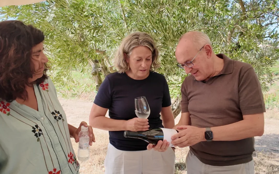 La Rioja Alavesa entra de lleno en la vendimia: la Diputación reclama un precio justo para la uva