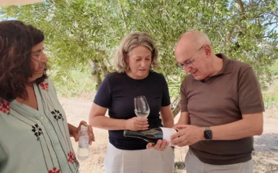 La Rioja Alavesa entra de lleno en la vendimia: la Diputación reclama un precio justo para la uva