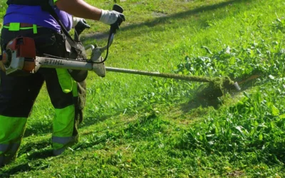 Amurrio formará a 19 personas en albañilería, jardinería y cuidados para facilitar su acceso al empleo