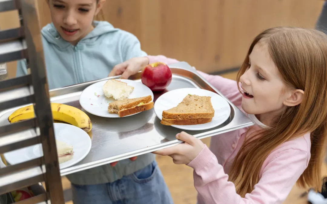 El Colegio Público Gobea busca monitor de comedor