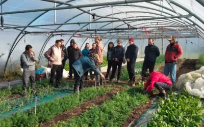 Nace la plataforma digital ALEKO Market, que permitirá a la ciudadanía de Gasteiz recibir en sus casas productos agroecológicos de Km0