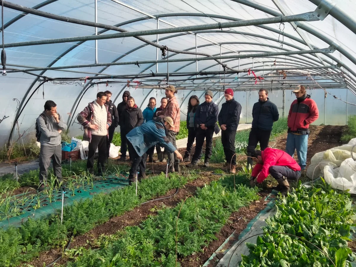 Presentación de ALEKO Market en Vitoria-Gasteiz Presentación de ALEKO Market, la plataforma de venta de alimentos agroecológicos de proximidad impulsada por el CEA de Vitoria-Gasteiz.