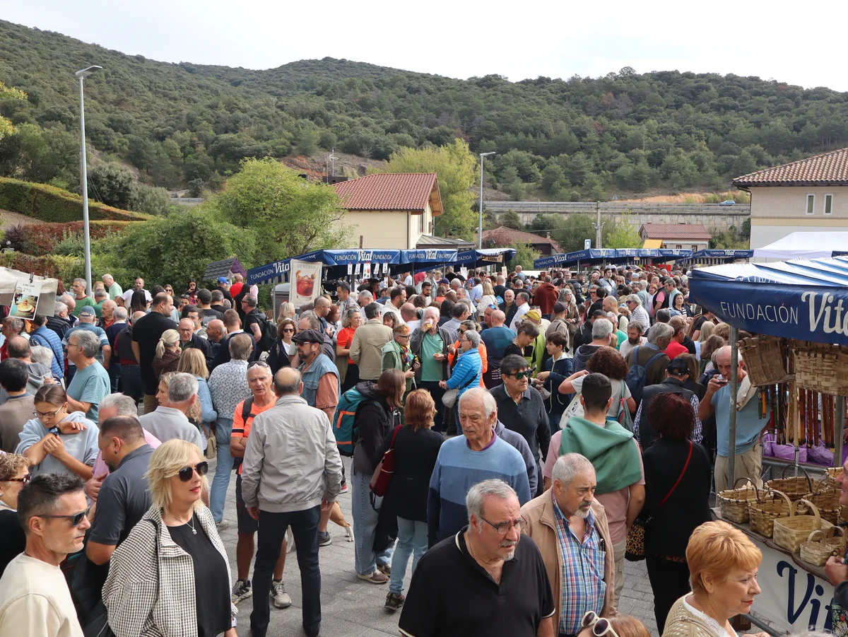 2026 10 11 Pobes Babarrunak (214)