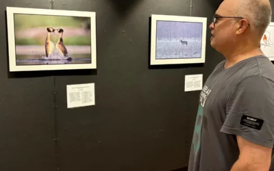 Eneko Espino abre una ventana a la Naturaleza en Artes y Oficios