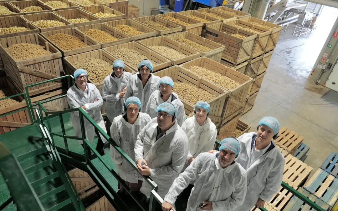 El presente y el futuro de “un producto humilde pero universal­”