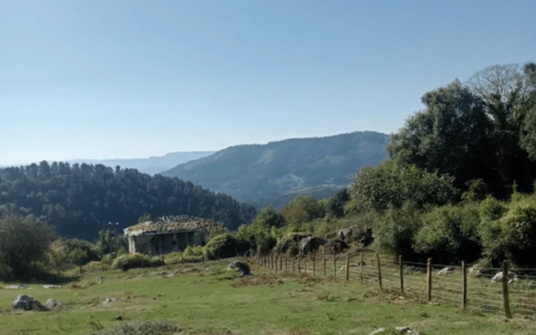 Laudio instala un cierre para facilitar el pastoreo en Santa María del Yermo