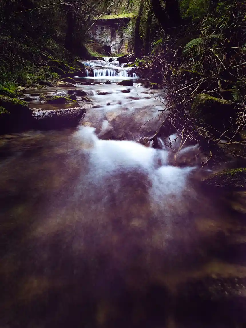 Arroyo rodeado de vegetación en Orduña