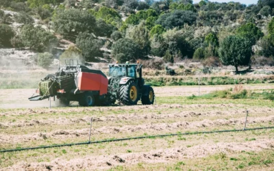 La PAC 2026 adelantará 26,7 millones de euros al sector primario alavés desde este viernes