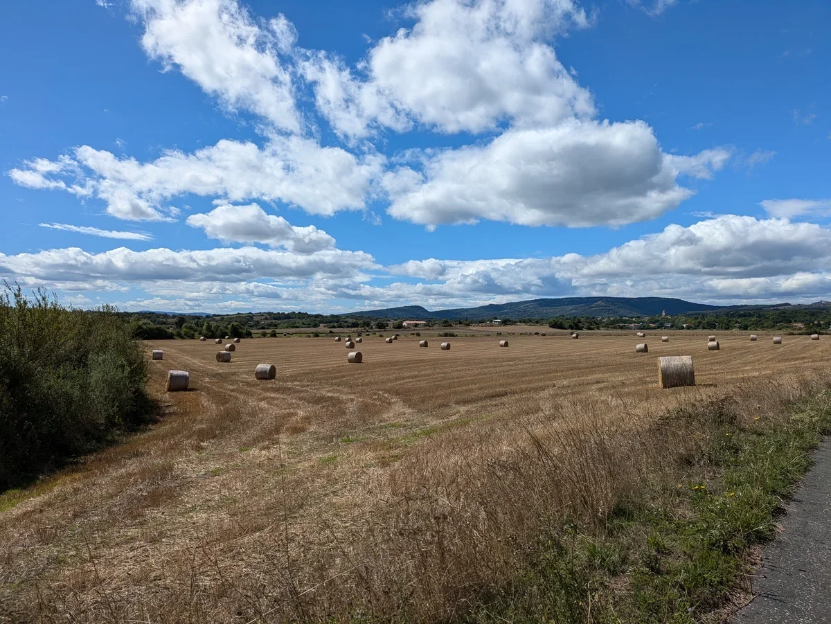 Campo Cosechado Calor Sector Primario Alava Explotaciones agrarias afectadas por la sequía en Euskadi