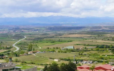 EH Bildu pide a la Diputación nuevas medidas para garantizar la viabilidad de las bodegas de Rioja Alavesa