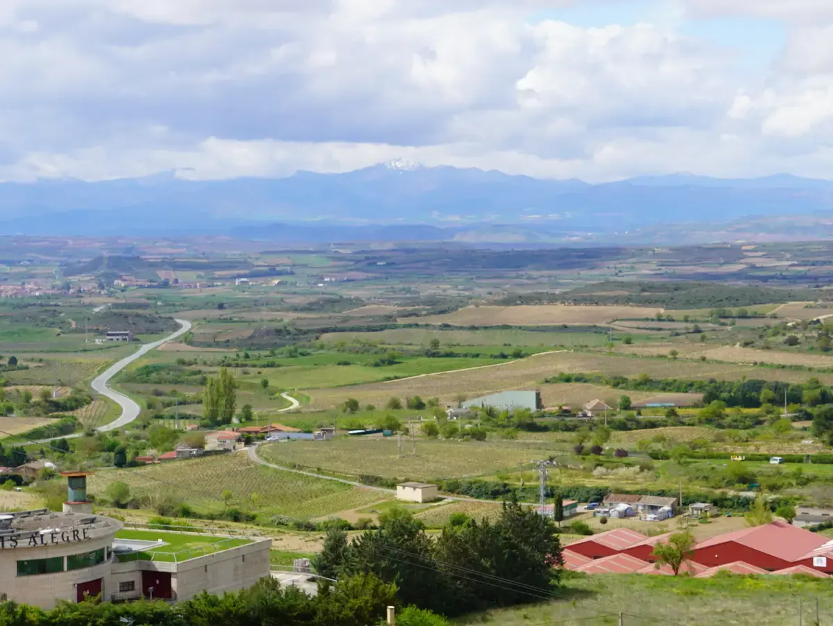 Bodegas de Rioja Alavesa Viñedos y bodegas de Rioja Alavesa