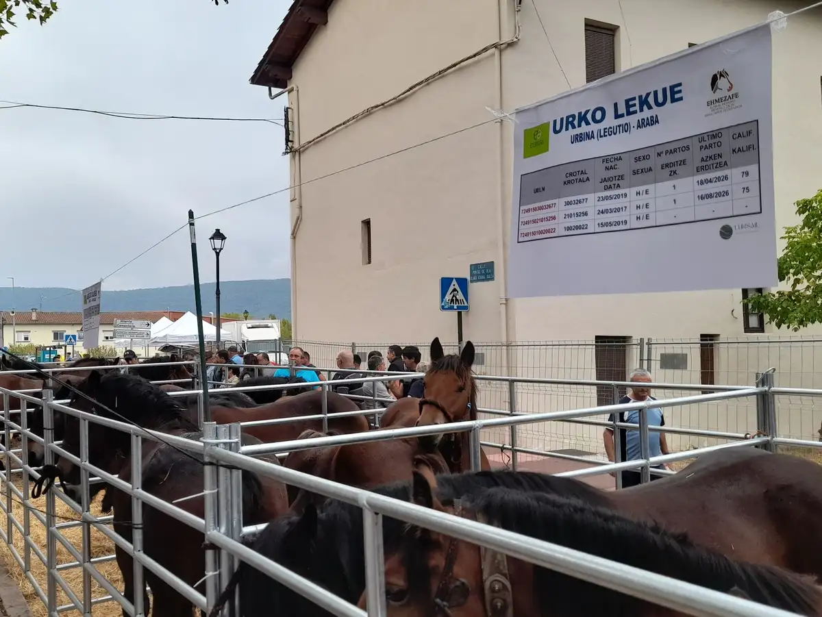 feria-agurain feria-agurain