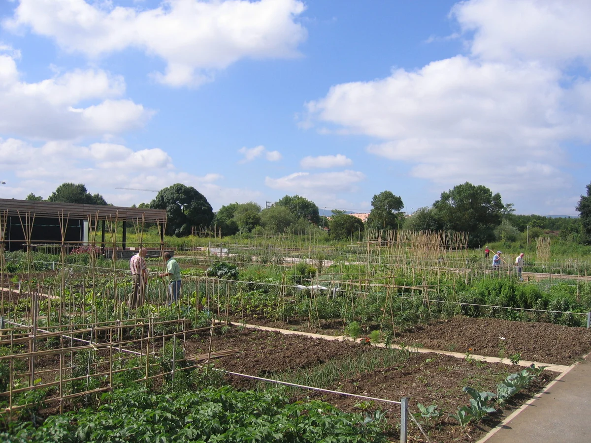 Huertas municipales de Urarte en Abetxuko Parcelas cultivadas en las Huertas de Urarte de Abetxuko, con personas trabajando en los huertos