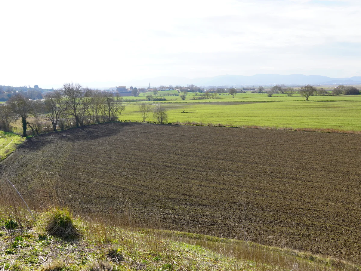 Campos de cultivo en Mendiguren, en el término municipal de Vitoria-Gasteiz. Foto: Txus Díez