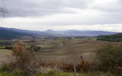 Joseba Carreras ofrecerá este viernes en Valdegovía una conferencia sobre el patrimonio natural del municipio